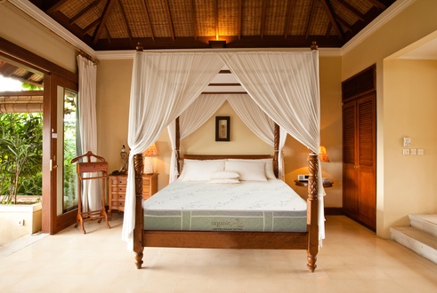 OrganicPedic Lago Nouveau