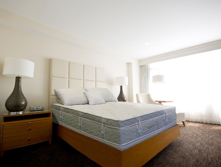 OrganicPedic Terra