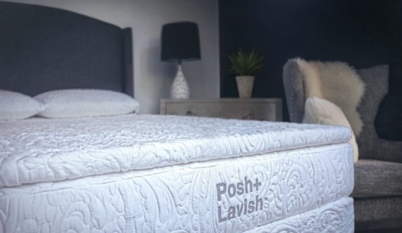 Posh + Lavish Predominant True Pillow Top