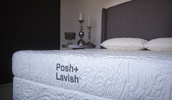Posh + Lavish Prominence Medium Plush