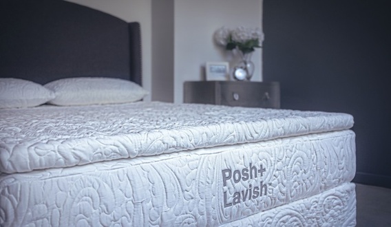 Posh + Lavish Release True Pillow Top