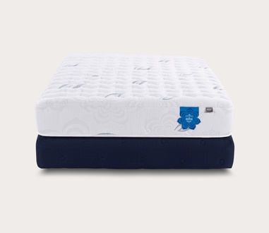 PranaSleep Asha Classic 3.0 Firm