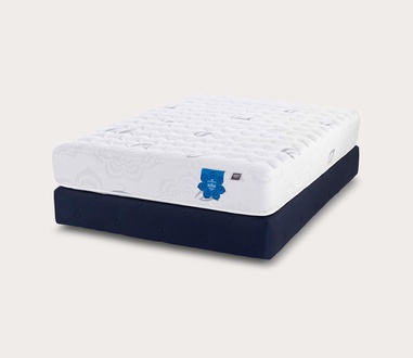 PranaSleep Asha Classic 3.0 Firm