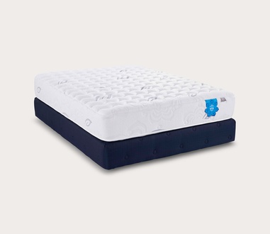 PranaSleep Asha Classic 3.0 Firm