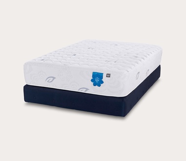 PranaSleep Asha Luxe 3.0 Medium