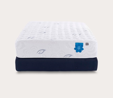 PranaSleep Asha Luxe 3.0 Medium