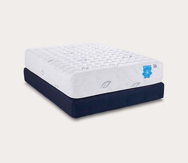 PranaSleep Asha Luxe 3.0 Medium