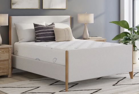 PranaSleep Asha Luxe 3.0 Plush