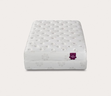 PranaSleep Dharma Classic Plush