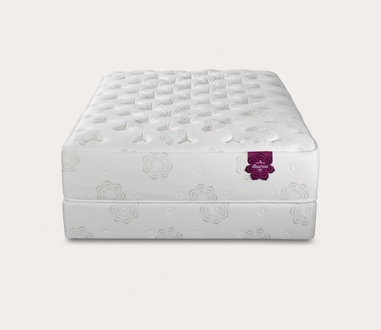 PranaSleep Dharma Elite Plush