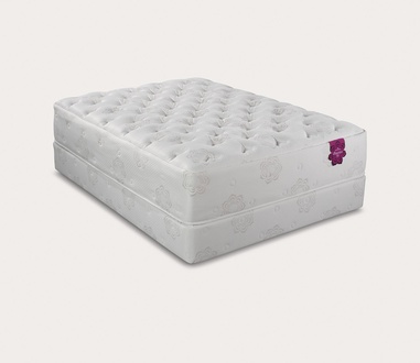 PranaSleep Dharma Elite Plush