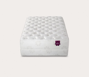 PranaSleep Dharma Elite Plush
