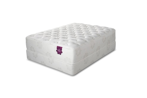 PranaSleep Dharma Elite Plush