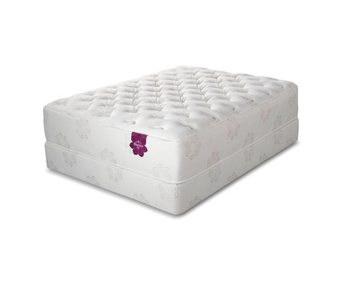 PranaSleep Dharma Elite Plush