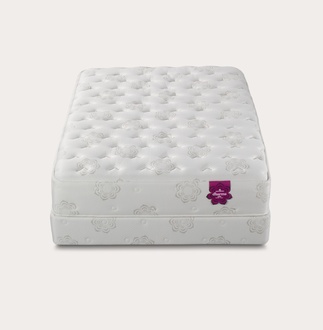 PranaSleep Dharma Elite Super Cush