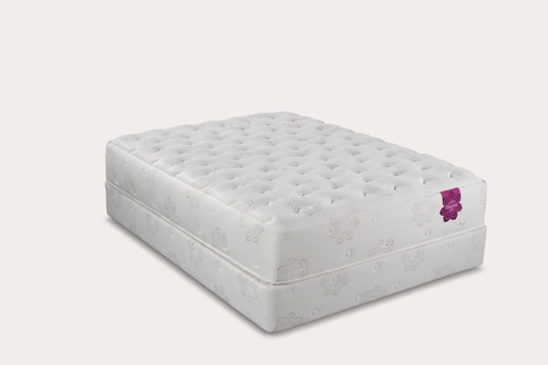 PranaSleep Dharma Elite Super Cush