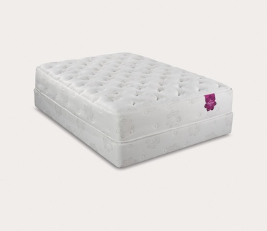 PranaSleep Dharma Luxe Plush