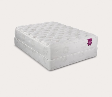 PranaSleep Dharma Luxe Super Cush