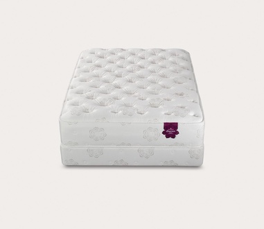 PranaSleep Dharma Luxe Super Cush