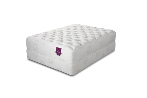 PranaSleep Dharma Luxe Super Cush