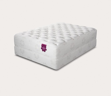 PranaSleep Dharma Luxe Super Cush