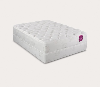 PranaSleep Dharma Select Plush