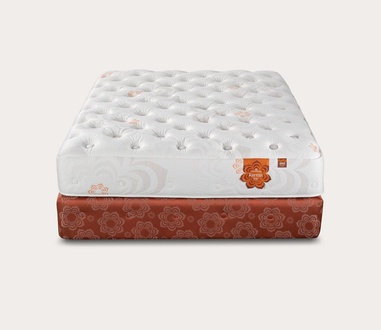 PranaSleep Karma Foam Luxe Plush