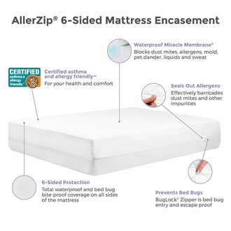 Protect-A-Bed Allergen-Free, Dust Mite & Waterproof 10-Inch Memory Foam Mattress