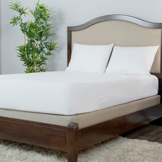 Protect-A-Bed Allergen-Free, Dust Mite & Waterproof 10-Inch Memory Foam Mattress