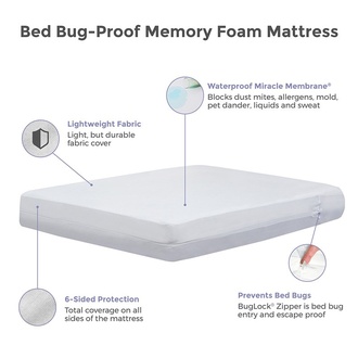Protect-A-Bed Bed Bug-Proof 10-Inch Memory Foam Mattress