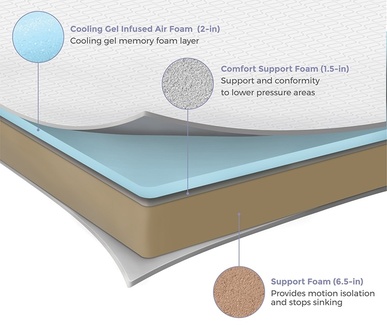 Protect-A-Bed Bed Bug-Proof 10-Inch Memory Foam Mattress