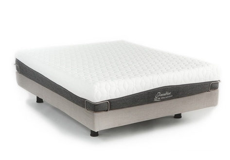 REM Sleep Paradise