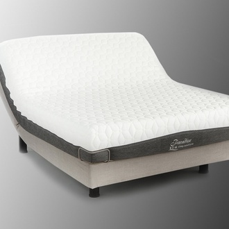 REM Sleep Paradise