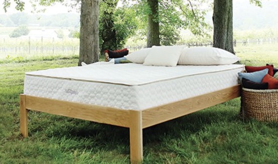 Savvy Rest