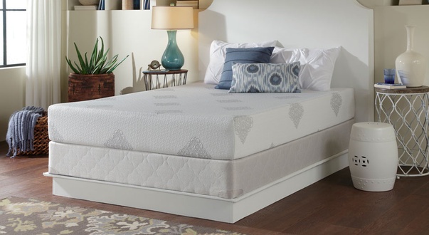 Sealy Comfort Series Memory Foam