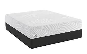 Sealy Conform Essentials 11" Plush