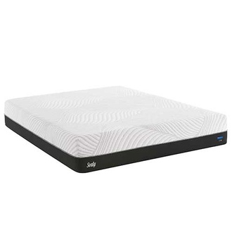 Sealy Conform Performance Fondness Cushion Firm