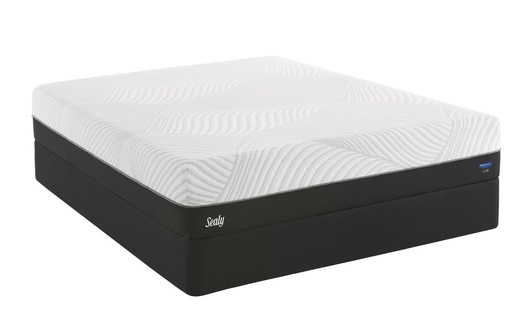 Sealy Conform Performance Fondness Cushion Firm