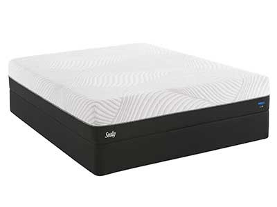 Sealy Conform Performance Thrilled Plush