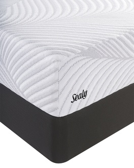 Sealy Posturepedic Essentials Conform Treat Cushion Firm