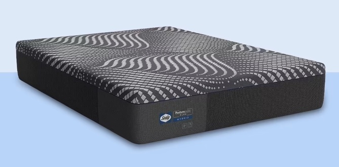 Sealy Posturepedic Plus Series
