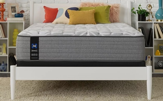 Sealy Posturepedic Silver Pine Faux Euro Top