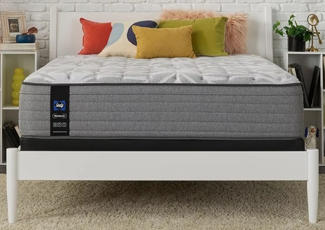 Sealy Posturepedic Silver Pine Faux Euro Top