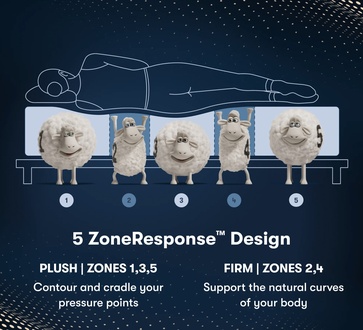 Serta iComfort Pro Level 2 Ambrose Plush