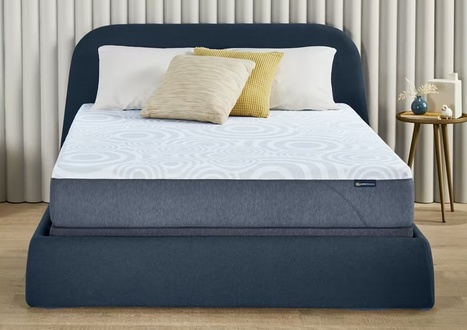Serta Perfect Sleeper Nestled Night