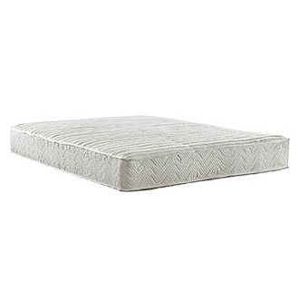 Signature Sleep Coil Contour 8