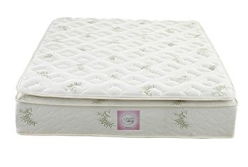 Signature Sleep Coil Signature 13"