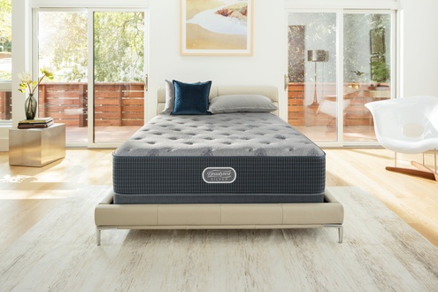 Simmons Beautyrest Silver Grays Reef Plush