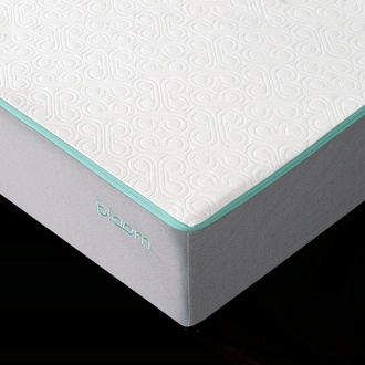 Sleep Country Bloom Air