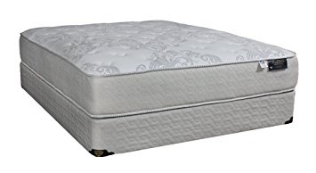 Spring Air Back Supporter Grand 12" Extra Plush